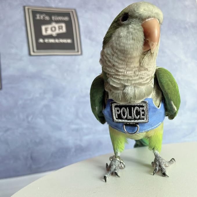 Bird Flight Harness Vest, Parrot Flight Suit with Leash, Bird Flying Clothes with Rope and Handle for Outdoor Activities (Without Leash,Lorikeet)