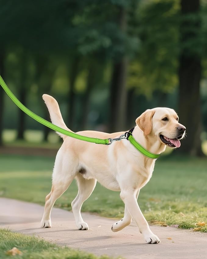 Joytale Reflective Dog Collar, Adjustable Nylon Pet Collar with Quick-Release Buckle for Medium Dogs, Green, M