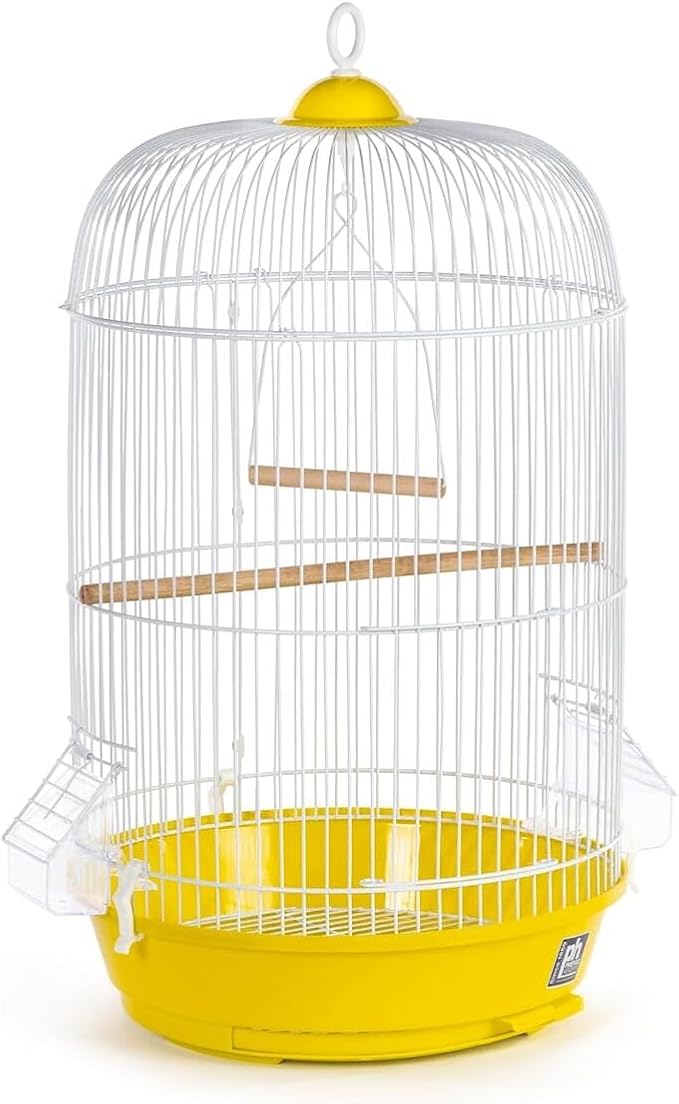 Elegant Escape Small Round Bird Cage with Graceful Design, Durable Metal Construction, Compact Size, and Comfortable Space