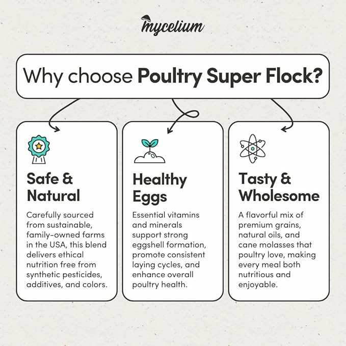 Mycelium Poultry Super Flock Food | High Protein Bird Food with Vitamins & Corn for Chicken, Turkey, Duck & Geese | Supports Growth, Egg Production, Feather & Immune Health | 5 lb Bag