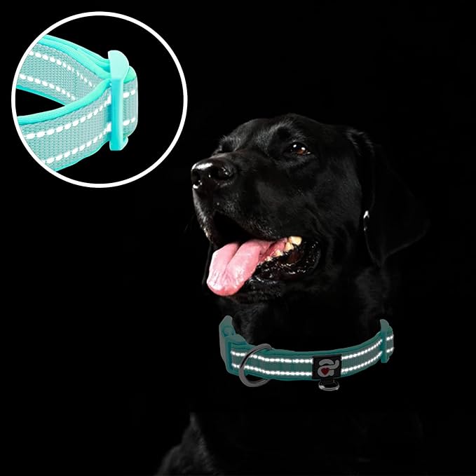 azuza Reflective Dog Collar,Soft Neoprene Padded Pet Collar with ID Tag Ring,Adjustable for Small Dogs,Teal,S