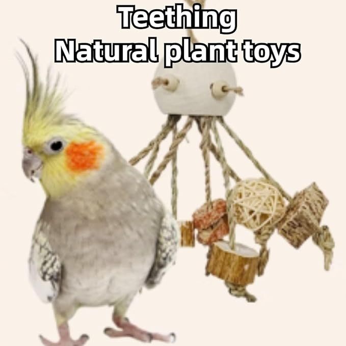 Bird Toys, Chewing for Parrot, Natural Nut Hanging for Parakeet,Lovebirds,Finch,Cockatiel, Conure, Quaker (B)