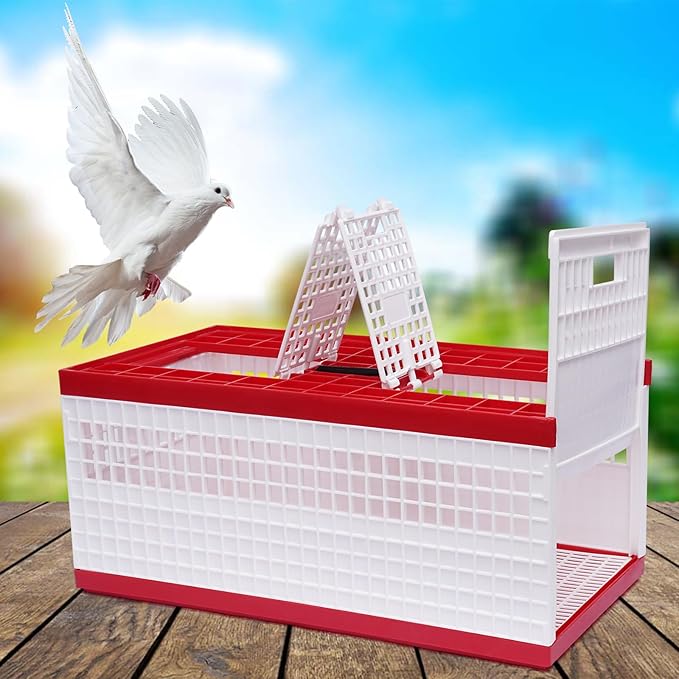 Racing Pigeon Carrier Box, Plastic Transportation Pigeon Cage, Folding Pigeon Training Release Cage with 2 Side Doors + 2 Top Department