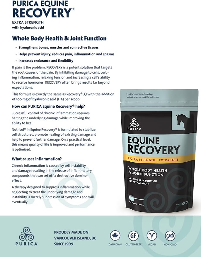 PURICA Equine Hyaluronic Acid - Horse Joint Support Supplement with Glucosamine, MSM Powder, Betaine, Magnesium, Vitamin C and E - Green Tea and Grape Seed Extract - Horse Supplies and Treats