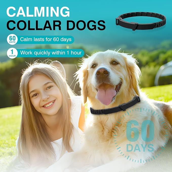 6 Packs Calming Collar for Dogs Dog Calming Pheromones Collar Separation Anxiety and Stress Relief Anti Anxiety 60 Days Calm Pheromone Collars Adjustable Waterproof for Small Medium Large Dogs 25 Inch