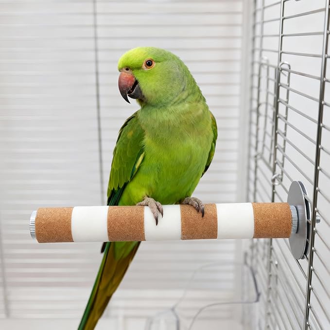 AOTU Natural Sandstone Parrot Perch Bird Perches for Cage – Durable Beak & Claw Trimming Grinding Stone for Birds, 7.9” x 1” – Safe Non-Toxic Long-Lasting Bird Cage Accessory (Orange and White, 7.9”)