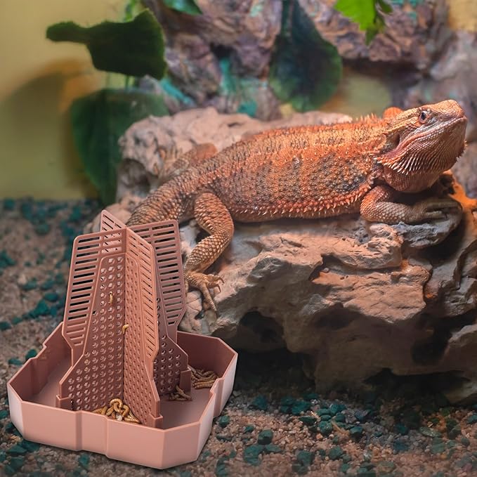 Reptile Feeder Bowls with Climbing Ladder for Chameleon,Bearded Dragon,Guardians Hunting Bugs Keep Training Terrarium Bowls for Lizards,Frogs,Geckos Other Small Pets,Brown (Small)