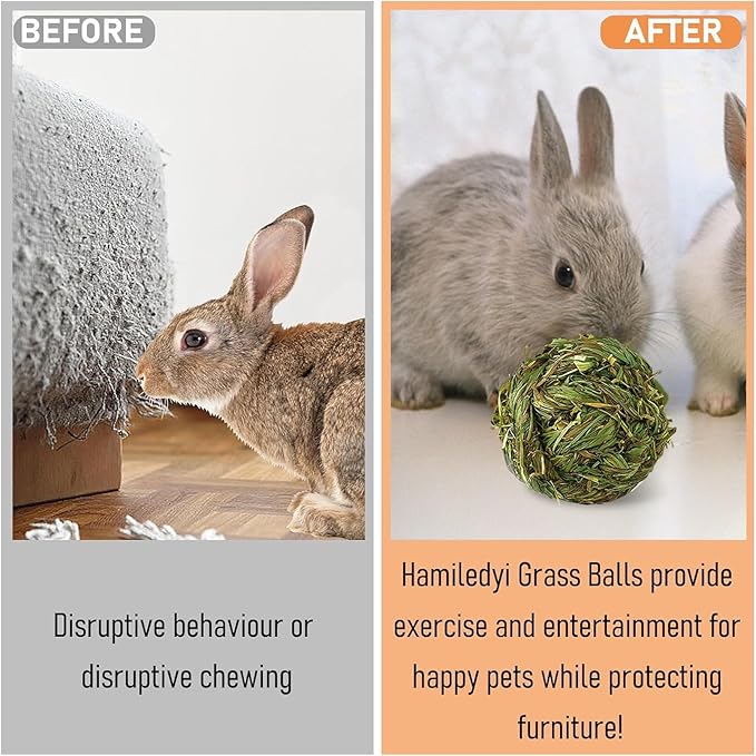 Hamiledyi 12 Pcs Rabbit Chew Ball Timothy Grass Ball Small Animal Activity Play Chew Toys Teeth Grinding for Bunny Rabbits Hamster Guinea Pigs Gerbils Chinchillas