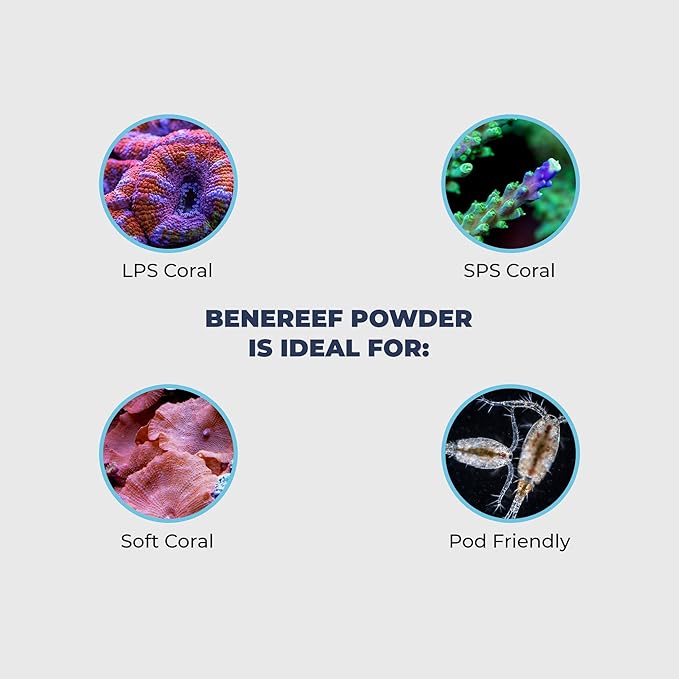 Benepets Benereef Powder Complete Reef Nutrition - Optimize Coral Growth, Color & Regeneration with Max Nutrient Absorption, Prebiotics & Probiotics, Coral & Fish Feed - 80 Grams