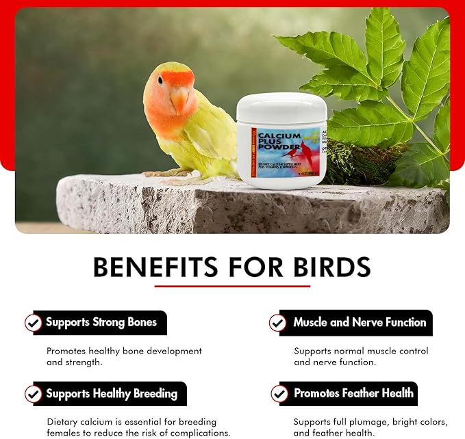 Morning Bird Calcium Plus Powder for Birds 2 oz – Calcium Supplement with Vitamin & Protein Powder – Supports Bone Health, Muscle Function & Digestive Balance – Easy-to-Mix Calcium Formula