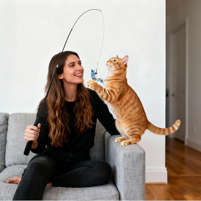 8 Pack Cat Wand Toy Cats Toy (2 Solid Wood Teases+1 Extendable Teaser Wand with 5 Replacement Heads