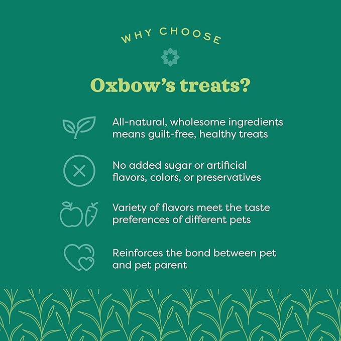 Oxbow Simple Rewards Small Pet Treats, Freeze Dried Fruit, Guinea Pig & Bunny Treats, Healthy Pet Fruit Snack for Rabbit & Guinea Pig, Freeze Dried Strawberries, 0.5 oz Bag