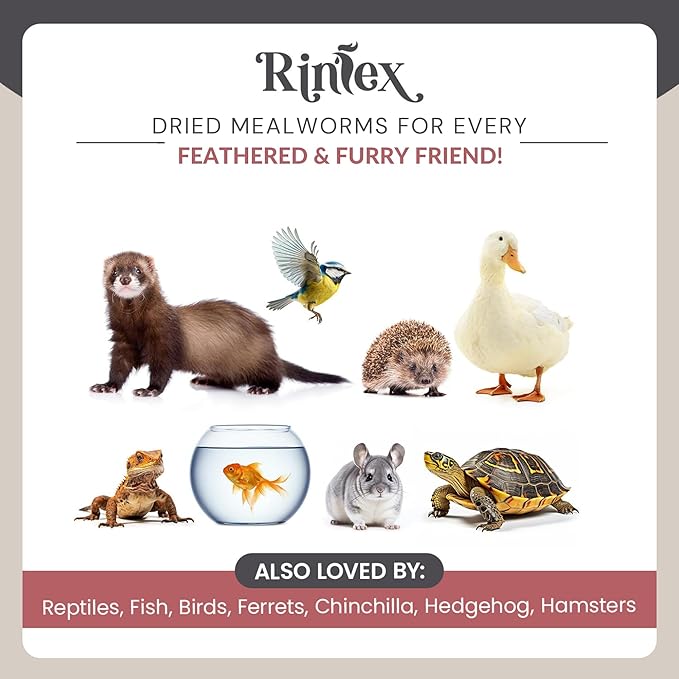 Dried Mealworms 5 lbs - More Protein Than Black Soldier Fly Larvae for Chickens (BSFL) - Wild Bird Seed for Outside Feeders - Woodpecker Food - Parrot Treats - Dried Worms for Chicken