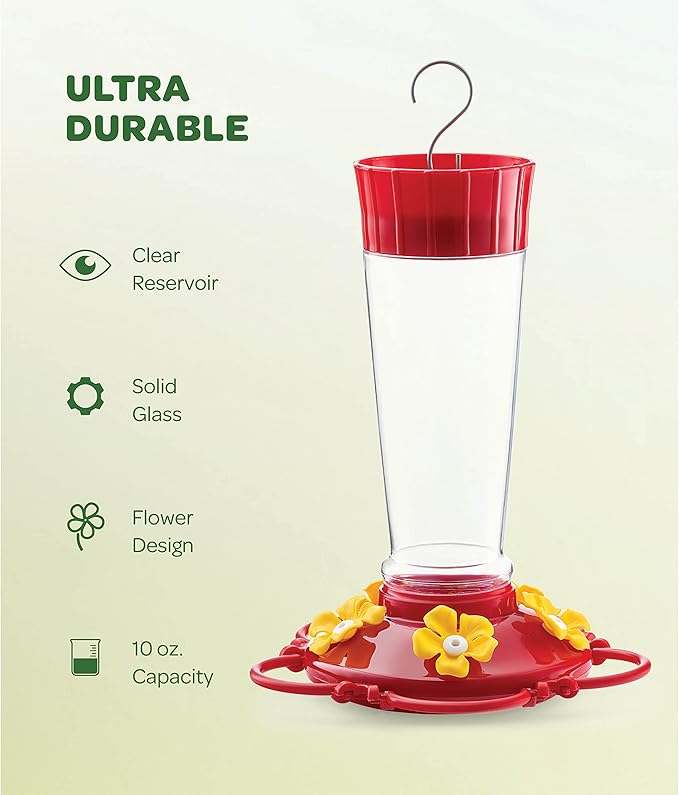 Hummingbird Feeder 10 oz [Set of 2] Glass Feeders for Outdoors, with Built-in Ant Guard - Circular Perch with 5 Feeding Ports - Wide Mouth for Easy Filling/2 Part Base for Easy Cleaning
