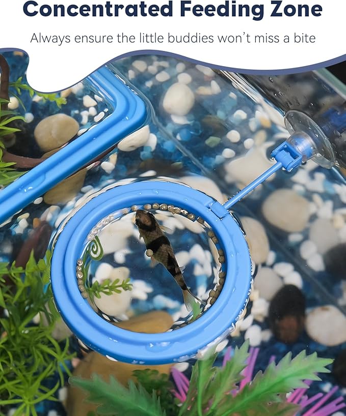 Pawfly Fish Feeding Ring for Fish Tank Aquarium Feeding Ring with Suction Cup Square Floating Food Feeder Small Feeder Circle for Betta Goldfish Guppy & Turtle