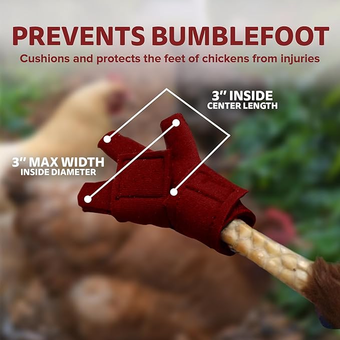 Chicken Shoes for Injured Feet – Protective Neoprene Footwear for Chicken, Open-Toe Design for Bumblefoot Relief, Made in USA - Large, 4" Max. Inside Width, Red