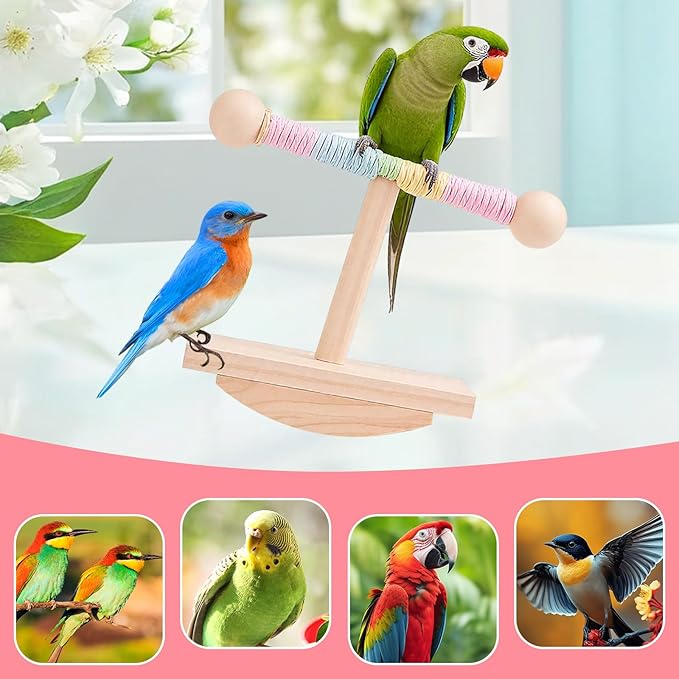 Parakeet Toys, Natural Wood Bird Perch Stand Training, Intelligence Puzzle Enrichment Toys for Parakeets,Wood Stand Toy for for Parakeets Budgies Conures Lovebirds Cockatiels (A, M)