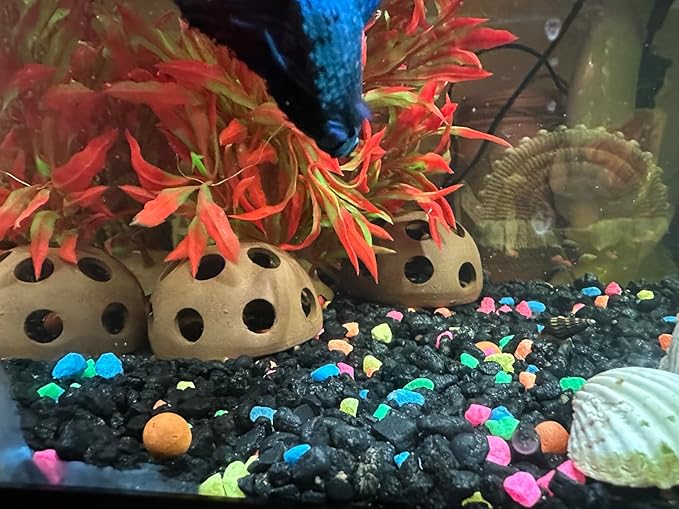 Ceramic Shelters, 4 pcs, Fish Tank Accessories Cave Décor, Small Fish House, Aquarium Hideout, Swim Holes Aquatic, Aquarium Cave for Freshwater and Saltwater Fish Tank (hemispherical)