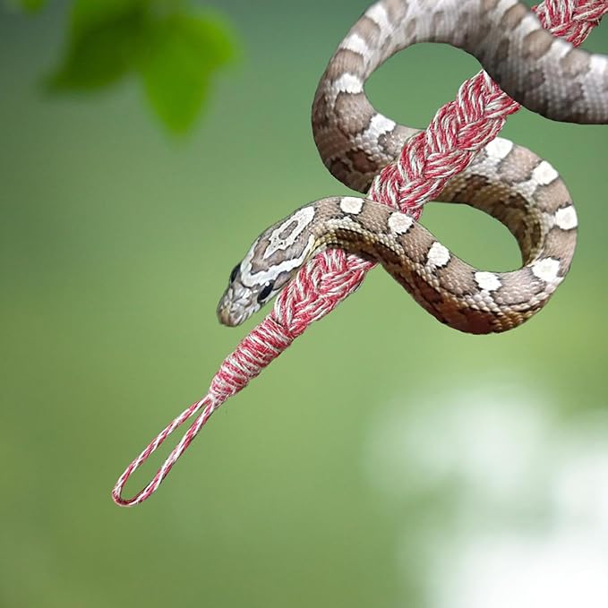 Snake Climbing Toys, Hermit Crab Climbing Toys Reptile Vines Toys for Hermit Crab Bearded Dragon Lizards Geckos Corn Snake