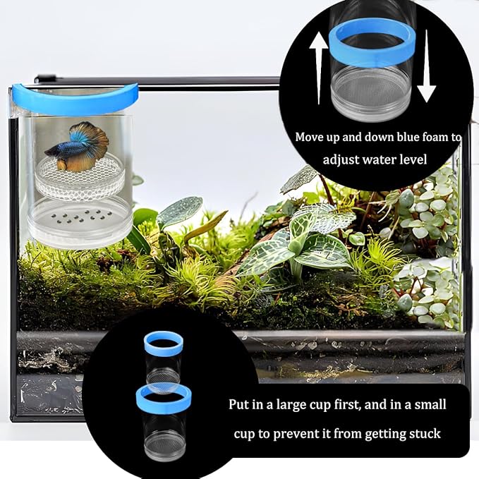 Upgrade Breeder Box for Fish Tank Plastic Floating Mesh Isolation Hatchery Incubator Aquarium Breeding Chamber Blue Small