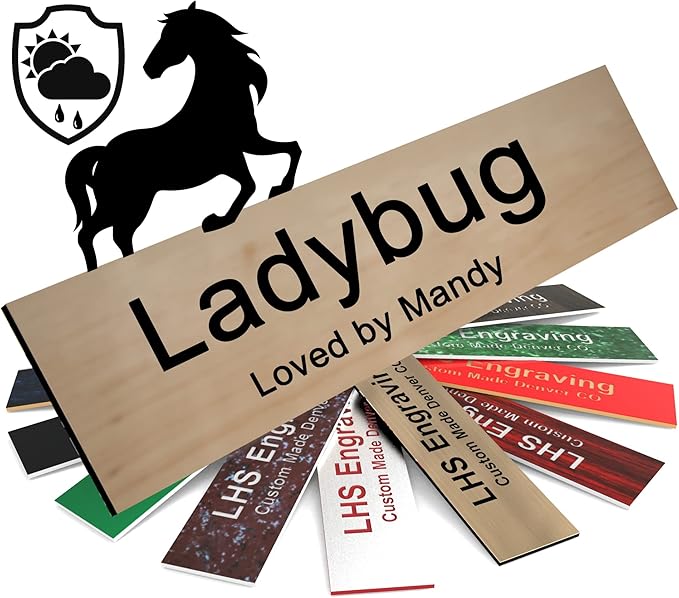 Personalized Horse Stall Name Plates, 2x8 Horse Stall Signs with Adhesive, All Weather UV Protected, Cashew Plastic Black Letters - Made in USA - N6