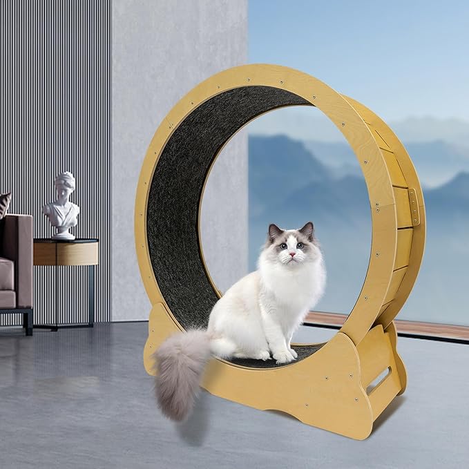 Cat Exercise Wheel, Cat Treadmill for Indoor with Fish-Shaped Clasp & Hook and Loop Fastener Capacity 50Kg/ 110.23Lbs Runway 30.5Cm/ 12 Inch for 11.02-16.53Lbs Small Dogs (Original Wood Color)