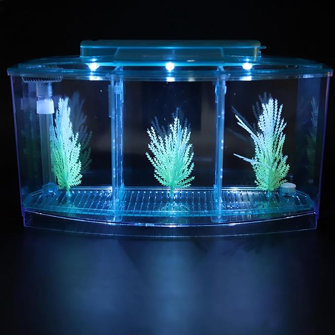 Aquarium Fish Tank, Aquarium Isolation Box, Acrylic Breeding Hatchery, LED Acrylic Three Divisions Breeding Isolation Box for Small Fishes (Blue)