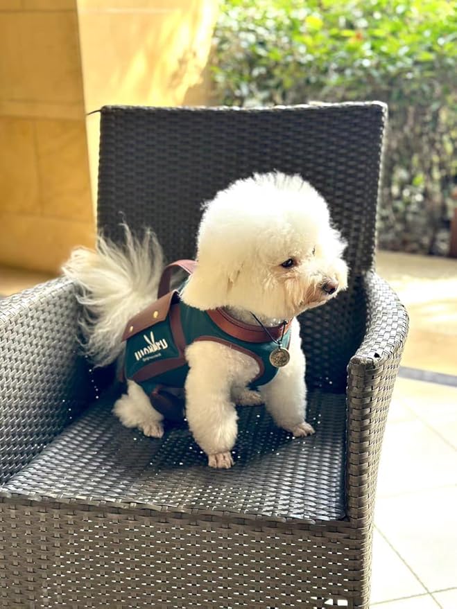 Dog Lift Harness Dog Carrier Dog VES Harness Adjustable Dog Leash with Small Puppy Treat Bag（Green,L）
