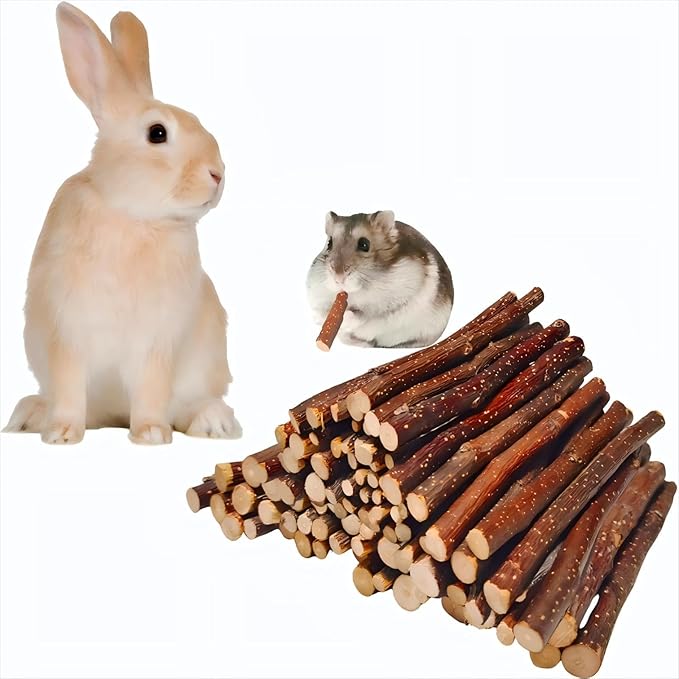 Apple Wood Sticks for Chinchilla,Natural Chew Toys and Treats for Chinchilla Guinea Pig Hamster Gerbil,Rabbit Chew Toys for Teeth (Thin 600g-21oz)