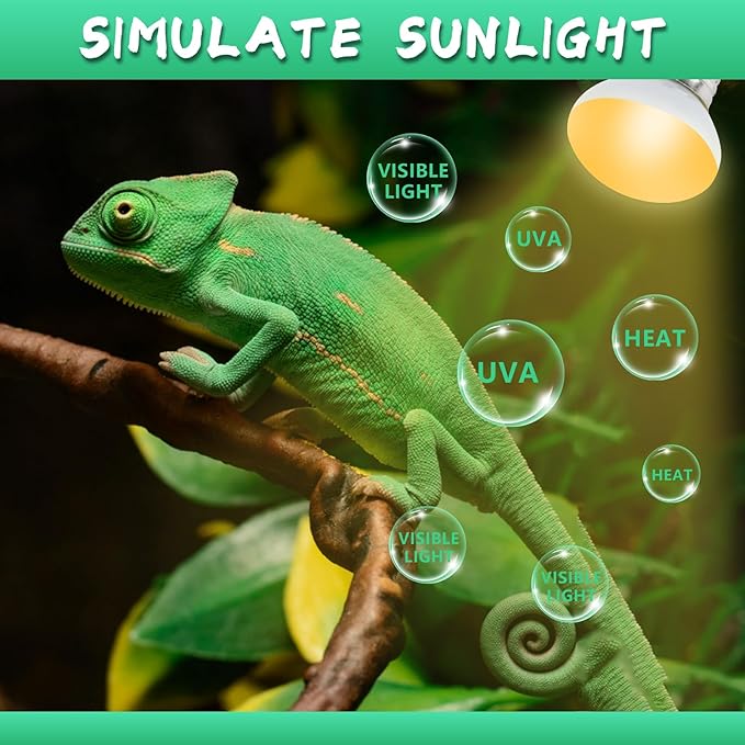 LUCKY HERP Heat Lamp Bulbs, 40W Reptile Heat Lamp 2 Pack Reptile Heat Lamp Bulbs, Daylight Basking Spot Heat Light Bulb, Amphibians Lamp Bulbs for Chameleons, Snakes, Lizard, Turtle