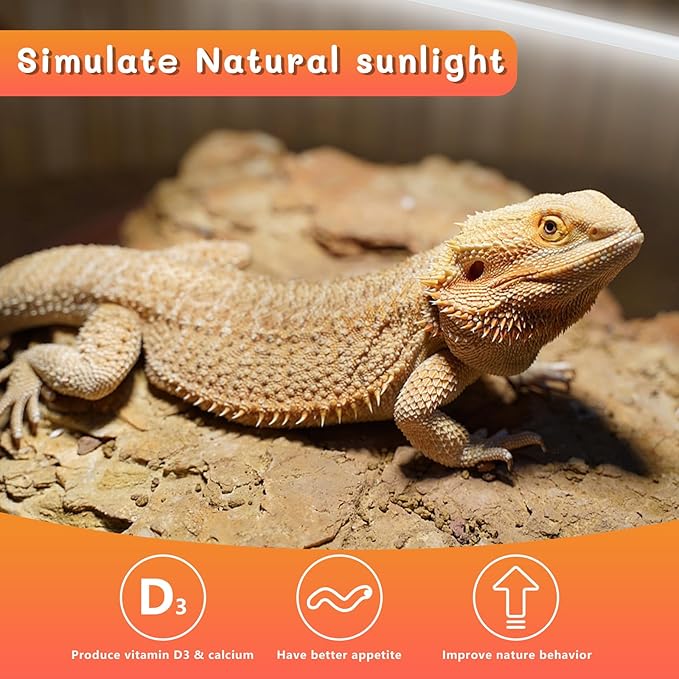 2PCS T5 UVB Reptile Light 8W 10.0,UVA UVB Light Bulb for Reptiles,Reptile UVB Lamp Tube for Bearded Dragon,12 Inchs