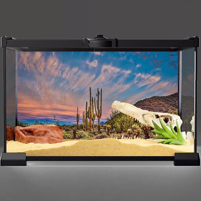 AWERT 36x20 inches Terrarium Background Blue Sky Cloud Huge Cactus Oasis Gobi Reptile Habitat Background Vinyl