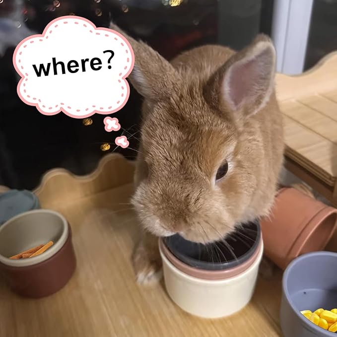 8 PCS Bunny Toys Stacking Cups Bunny Cups Stackable Guinea Pig Stacking Cups Colorful Reusable Rabbit Toys for Rabbit Guinea Pig Hiding Food Playing