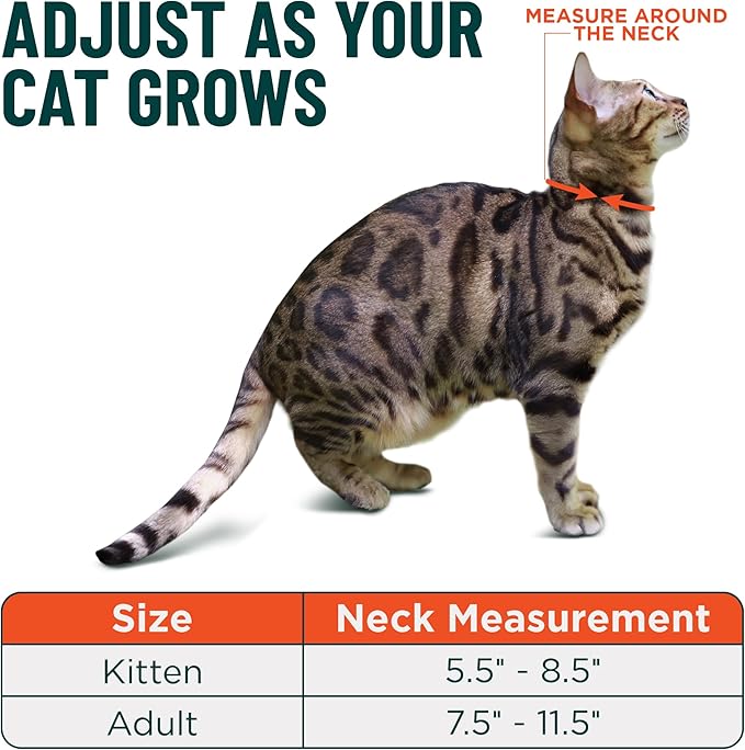 OutdoorBengal Green Cat Collar Breakaway, Soft Padding for Medium to Large Cats - Durable Heavy Duty Tactical Fabric, Comfortable, Quick Release Breakaway Cat Collars, No Bell Collar (Green, Adult)
