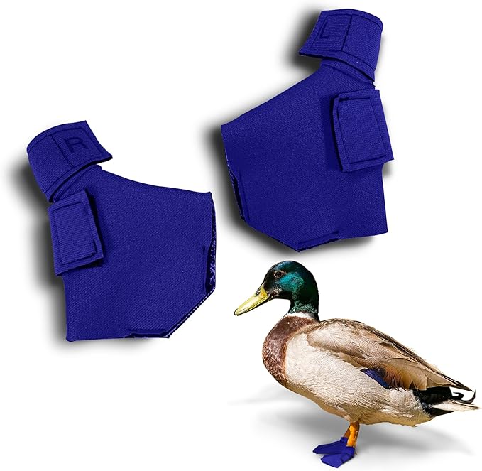 Duck Shoes for Injured Feet – Protective Neoprene Footwear for Ducks, Protective Shoes for Birds with Injured feet, Bumblefoot Relief - Medium, 3.5” Max. Inside Width - Royal Blue