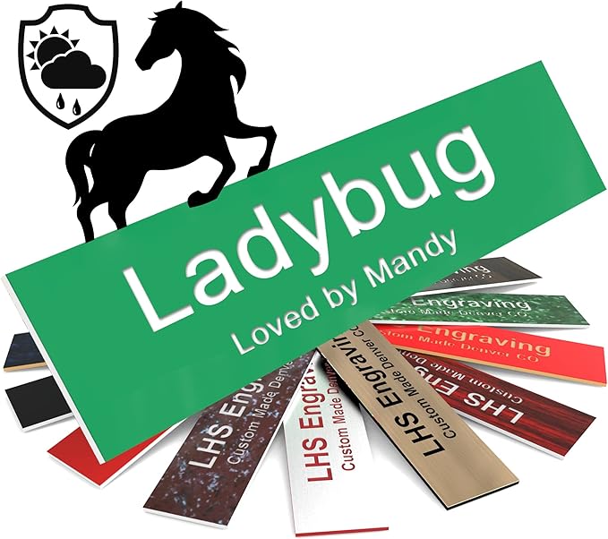 Horse Stall Name Plate, 2x8 Personalized Stall Signs, UV Protected, All Weather Adhesive, Hanging, Mounting or Other, Green Plastic with White Letters - Made in USA - B6