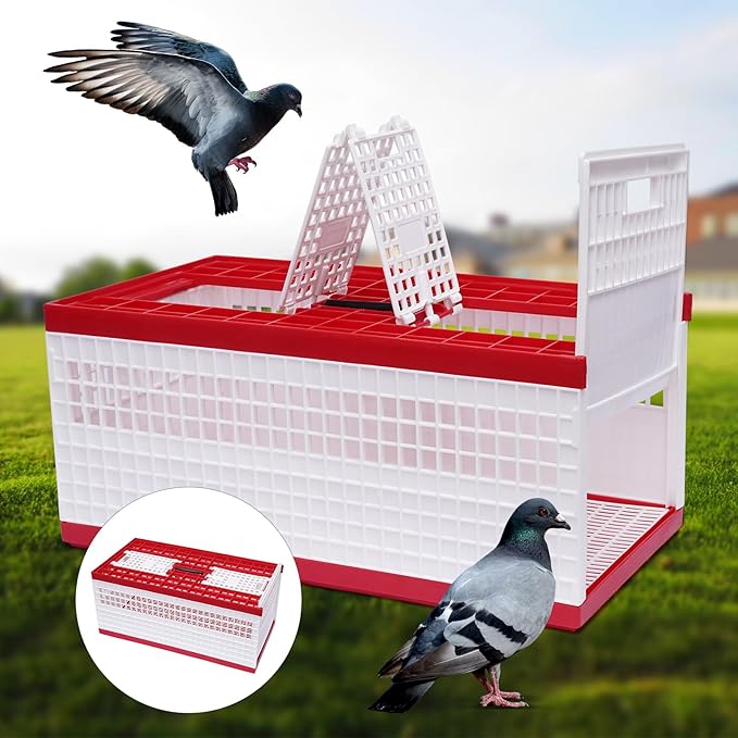 Pigeon Carrier Cage, 23.6"X12.2"X10.2" Plastic Training Basket with 4 Doors (2 Side + 2 Top), Red Foldable Pigeon Cage with Handle,Portable Bird Transport Box for Racing & Release