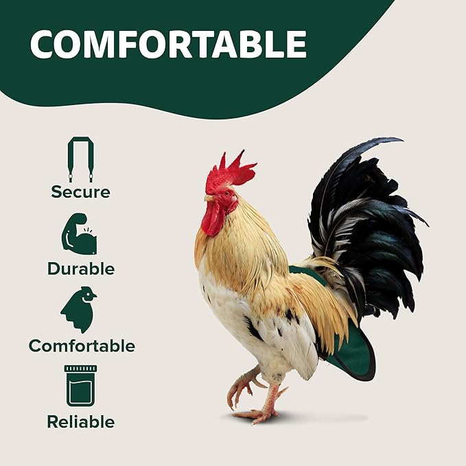 Hen Holster Bird Diaper, Wrap Around - for Hens, Roosters, Ducks, Leak-Proof Design, Comfortable Fleece Strap Bird Harness with Sewn-in Liner, Secure Hook and Loop Closure - XL, Green