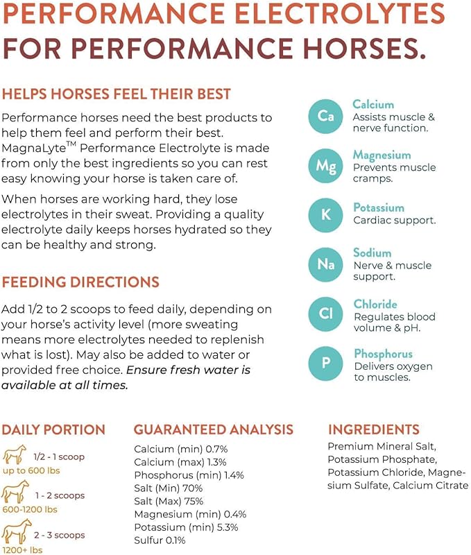 MagnaLyte Loose Salt and Electrolytes for Horses by Eagle Equine | Mineral sea Salt, Trace Minerals, Electrolytes | 4 lb Bag