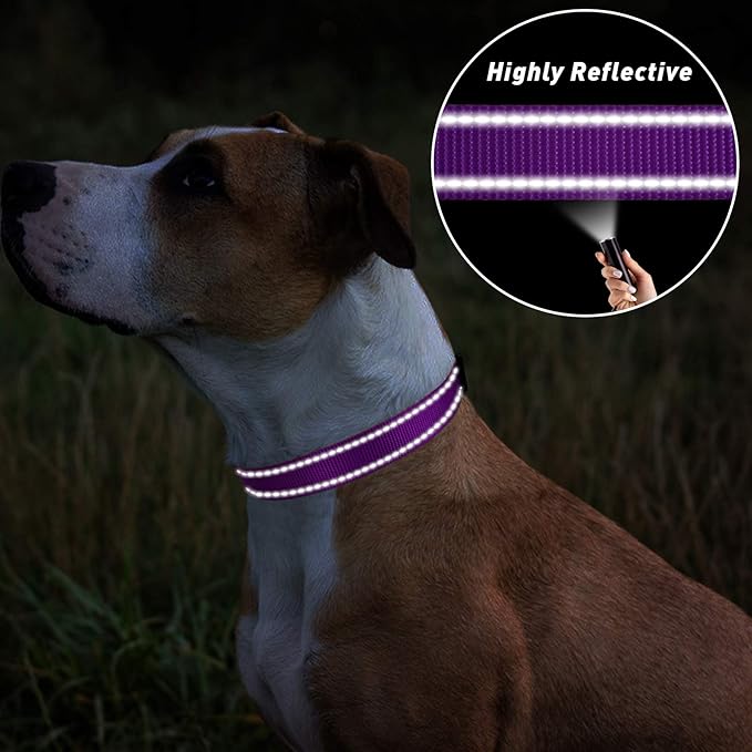 TagME Reflective Nylon Dog Collars, Adjustable Classic Pet Collar with Quick Release Buckle for Extra Large Dogs, Purple, 1¼" Width