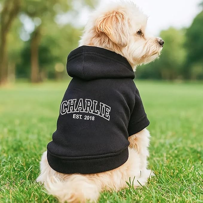 Noni Personalized Name Dog Hoodie, Embroidered Puppy Sweater with Name Text, Custom Pet Clothes Warm Winter Outfit for Dogs, Bright Puppy Sweatshirt, Pet Birthday Outfit, Gift for Dog Lovers