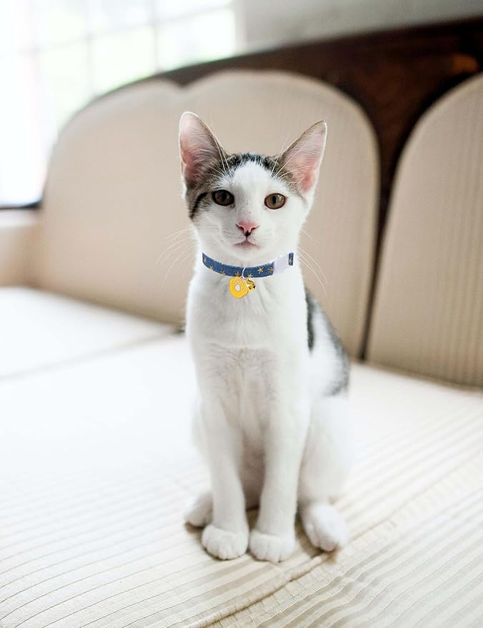 Cat Collar Breakaway with Bells,3 Pack Safety Adjustable Pet Collars,Ideal for Girl Boy Kittens. (Blue Black Starfish)
