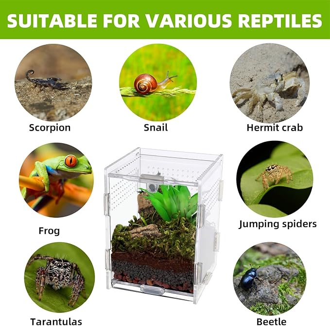Hermit Crab Tank Jumping Spider Enclosure Acrylic Terrarium Habitat High Clarity Escape-Proof Small Terrarium for Hermit Crab Jumping Spiders Frogs and Small Reptiles Ideal for Reptile Keepers