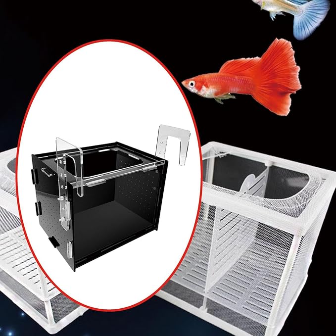 Fish Breeding Box Hatchery Sturdy Clear Acrylic Separation Incubator Isolation Box for Clownfish Betta Baby Fish Guppy, 30x20x20cm