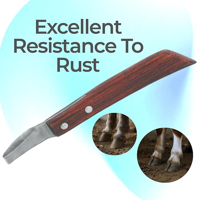 7 Inch Swiss Hoof Knife Double Edged – Stainless Steel Curved Blade Farrier Tool with Round Wooden Grip, Multipurpose Hoof Trimming Knife for Livestock.