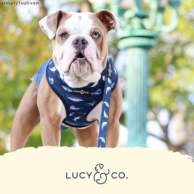 Reversible Dog Harness Walking Halter - Best Designer Pet Harnesses for Extra Small Medium Large XL Dogs Plus Pug Breeds - Padded Adjustable Puppy Vest for Easy Walking (X-Large, Shark Attack)