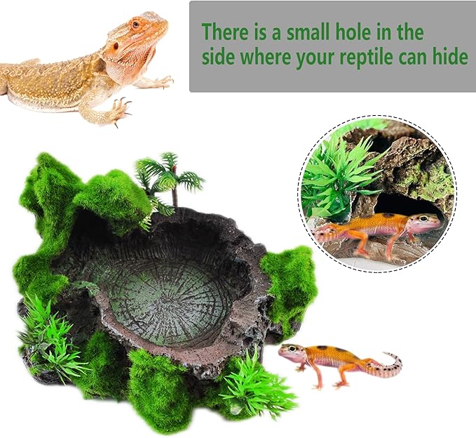 kathson Resin Reptile Bowl Bearded Dragon Food Dish Lizard Water Dish Reptiles Feeding Bowls with Feeder Tweezer for Leopard Gecko Tortoise Chameleon Water Frog Hermit Crab