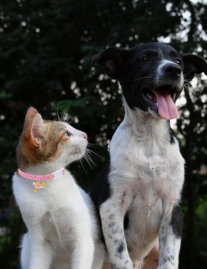 Cat Collar Breakaway with Bells,3 Pack Safety Adjustable Pet Collars,Ideal for Girl Boy Kittens. (Pink Green Yellow Star)