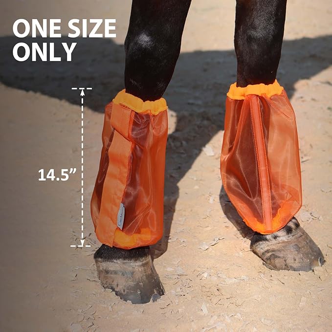 Universal Size Horse Leggings Fine Mesh Greatly Reduce Stomping Breathable Horse Boots Leg Wraps (Set of 4) Orange