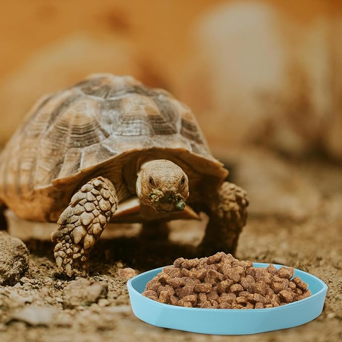 COMSUN 4 Pack Small Reptile Food Dish Bowl, Plastic Worm Water Dish Plate for Lizard Gecko Bearded Dragon Chameleon 4" W x 4" D x 0.5" H, Blue and Yellow